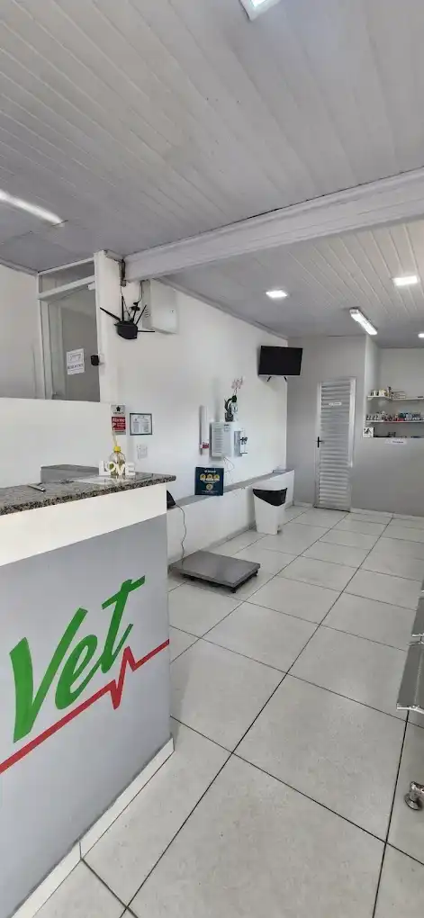 Vacinas Landing Hero Bottom Image