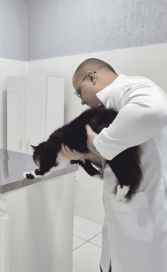 Neurologia Veterinária Landing Image